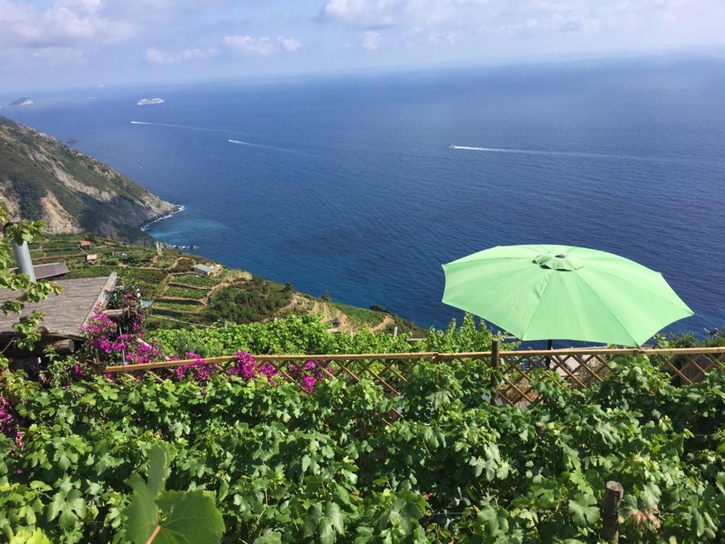 Vila Refuge Uwabio Organic Vineyard Cinqueterre Riomaggiore Exteriér fotografie