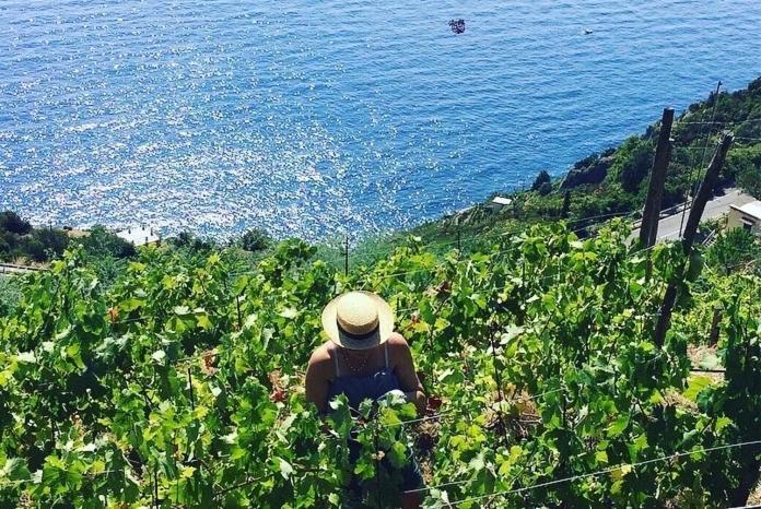 Vila Refuge Uwabio Organic Vineyard Cinqueterre Riomaggiore Exteriér fotografie