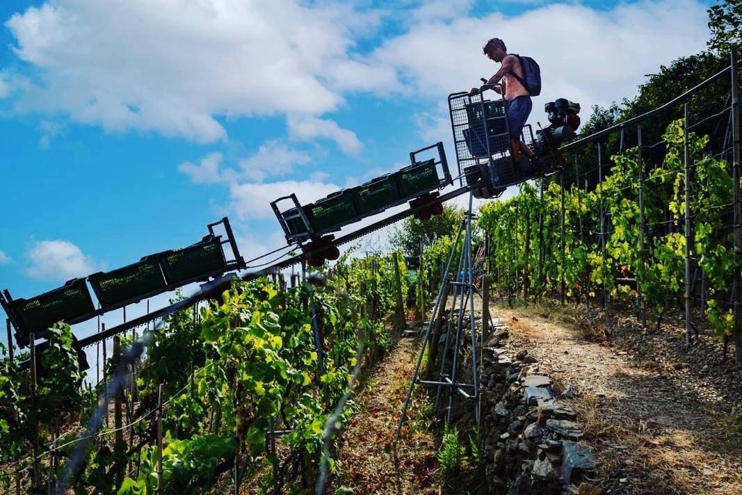 Vila Refuge Uwabio Organic Vineyard Cinqueterre Riomaggiore Exteriér fotografie