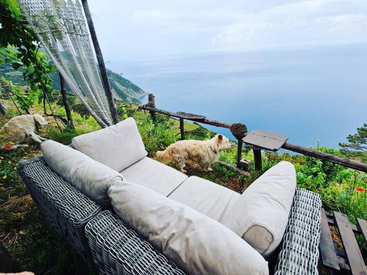 Vila Refuge Uwabio Organic Vineyard Cinqueterre Riomaggiore Exteriér fotografie
